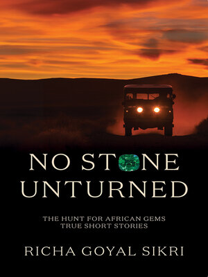 cover image of No Stone Unturned